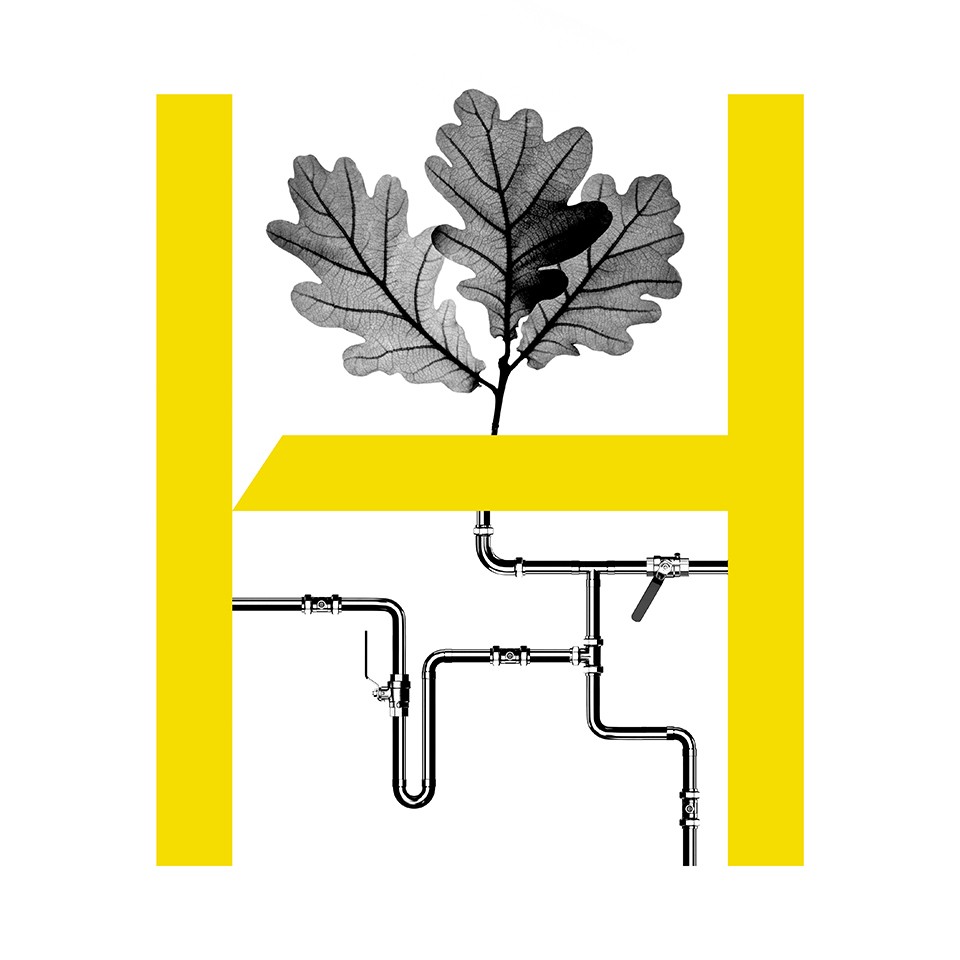 GROWTH OF IDEAS.<br />DEPTH OF KNOWLEDGE.