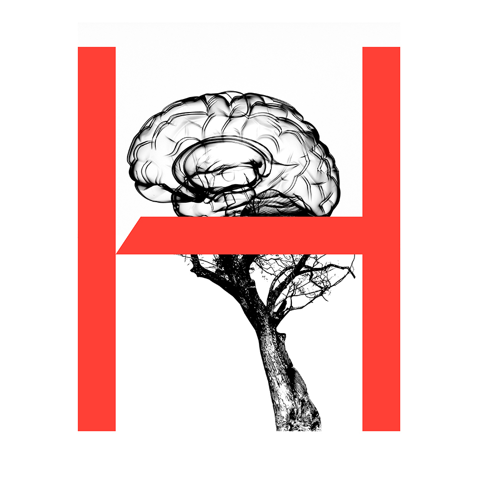 <p><strong>THOUGHTFUL APPROACH.</strong><br /><strong>ESTABLISHED EXPERTISE.</strong></p>