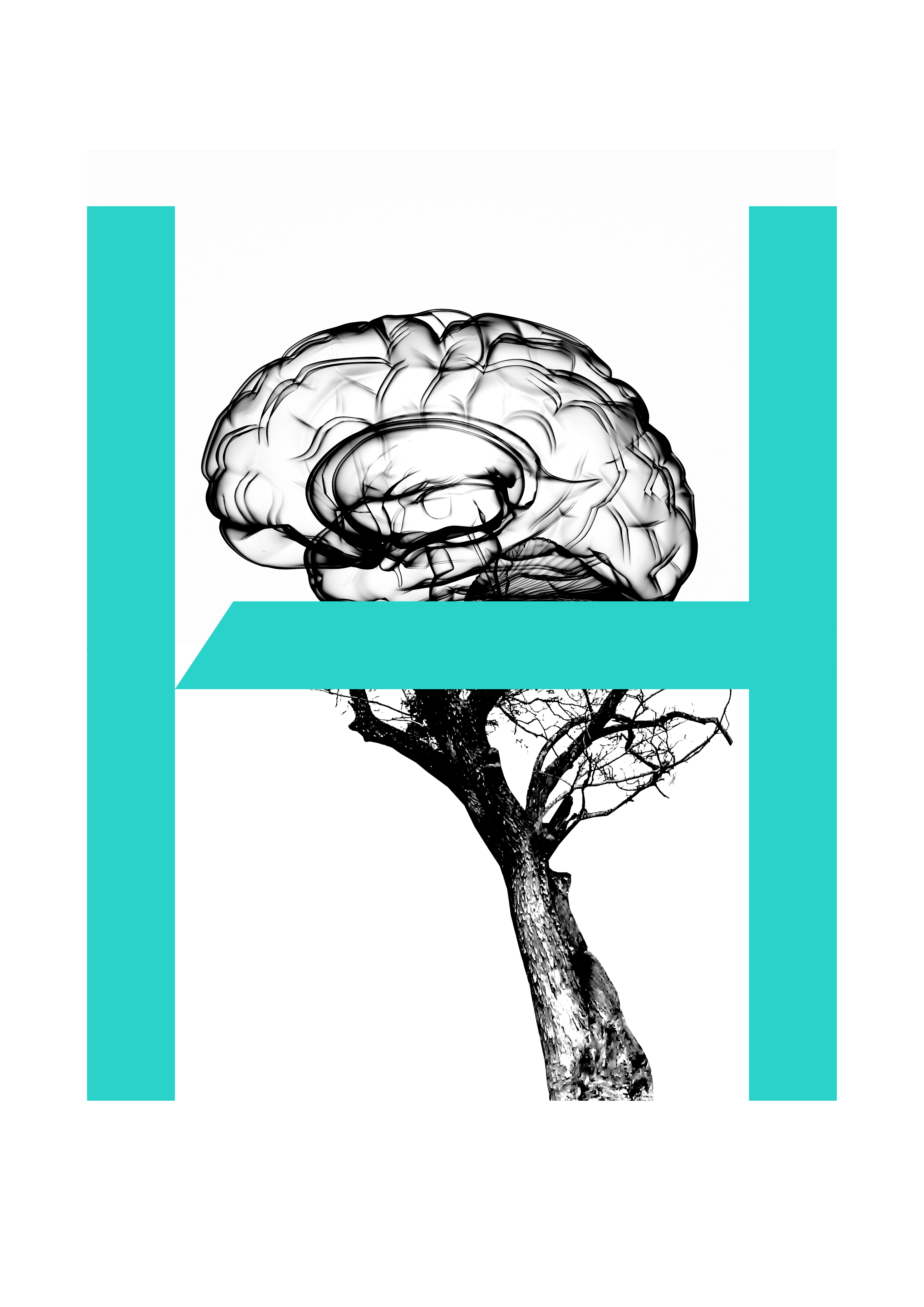 FREQUENTLY ASKED QUESTIONS.