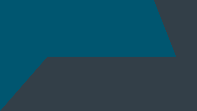 The Pro Bono Recognition List 2025